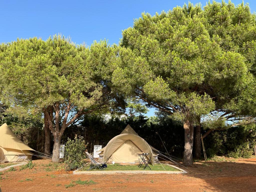 Hotel Glamping La Mimosa Conil Conil De La Frontera Exteriér fotografie