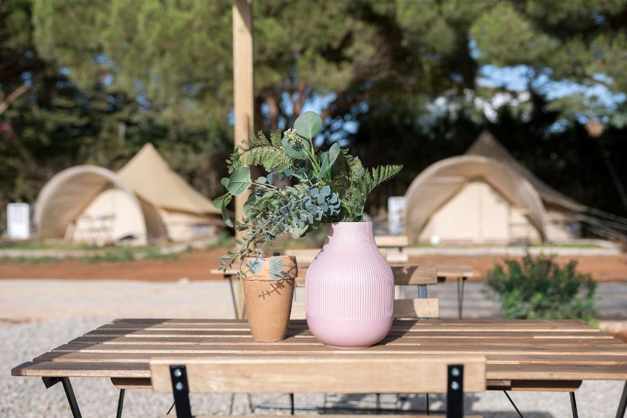 Hotel Glamping La Mimosa Conil Conil De La Frontera Exteriér fotografie